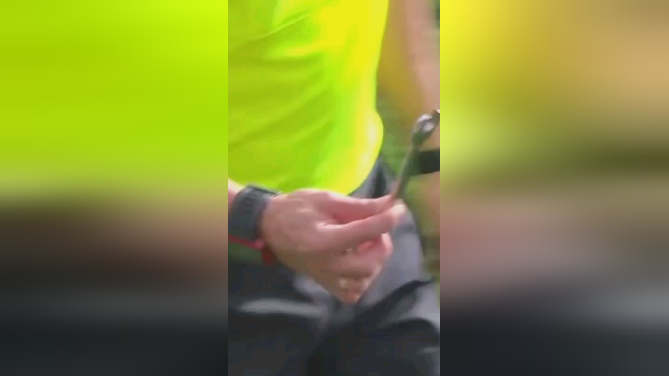 先莱